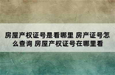 房屋产权证号是看哪里 房产证号怎么查询 房屋产权证号在哪里看